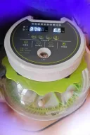 Incubadora de 8 Huevos