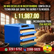 Incubadora de 204 Huevos