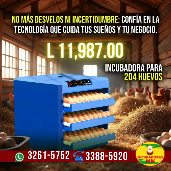 Incubadora de 204 Huevos